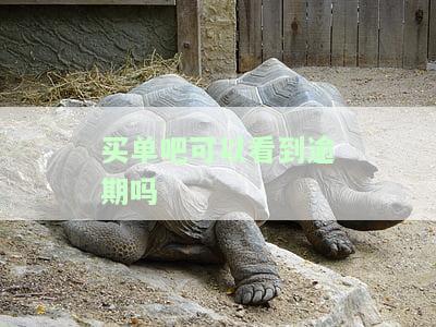买单吧：如何安全查询每月账单？