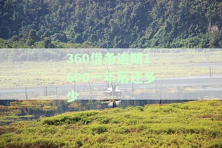 逾期1600一年后还多少-欠款1700元逾期一15个月要还多少
