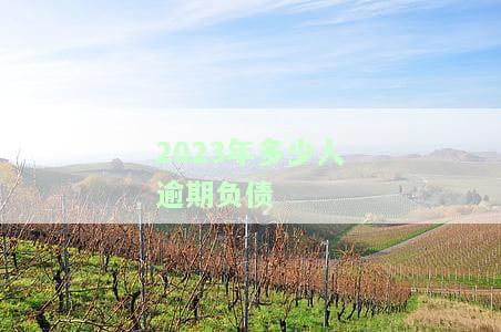 2020年负债逾期人数统计：全面揭示逾期情况