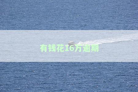 有钱花逾期5000元，警惕！有钱花逾期5000元，可能会带来这些后果！