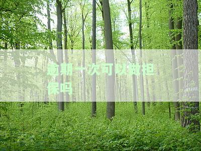 逾期后还能做担保吗？影响及解决方案