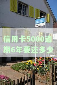 信用卡5000逾期6年要还多少