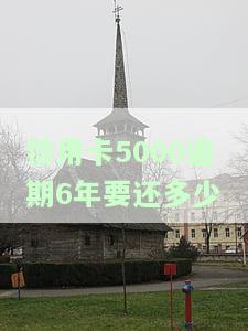 信用卡5000逾期6年要还多少-信用卡5000逾期6年要还多少利息