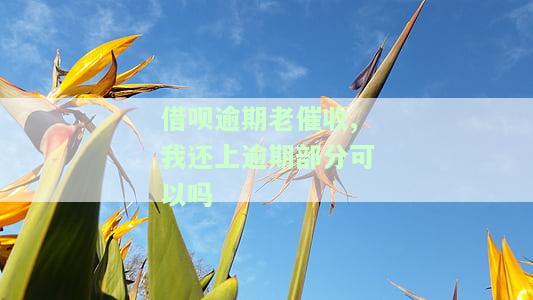 借呗逾期后还了逾期部分催收员还会不会打电话催，借呗逾期还款后，催收员是否还会继续催款？