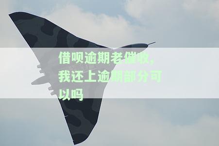 借呗逾期还了一部分催收不同意非要今天还清，催收不同意期还款，要求今日还清借呗逾期欠款