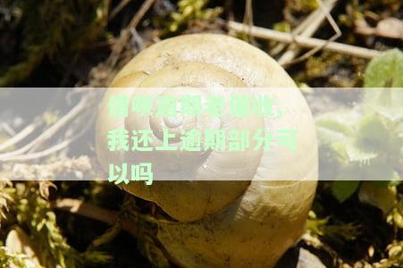 借呗逾期老催收,我还上逾期部分可以吗