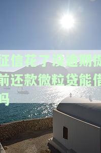 征信花了,微粒贷提前还还能借出来吗，征信记录不佳，提前还清微粒贷是否能再次借款？