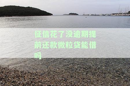 征信花影响微粒贷借款安全吗？知乎上如何解决？