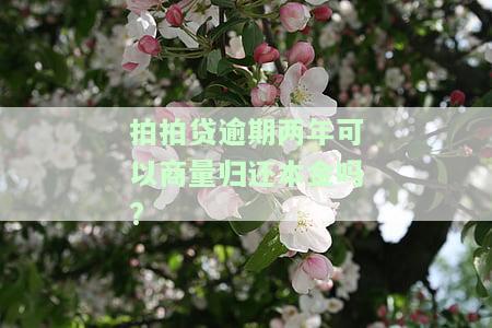 拍拍贷逾期两年，能否商量归还本金？真还是假？