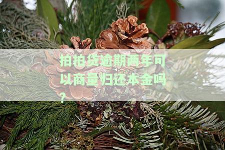 拍拍贷逾期两年了,还没有处理,后果会严重吗，拍拍贷逾期两年未处理，后果有多严重？