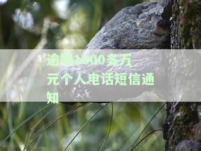 逾期1000多万元个人电话短信通知怎么办，如何处理逾期1000多万元的个人电话和短信通知?