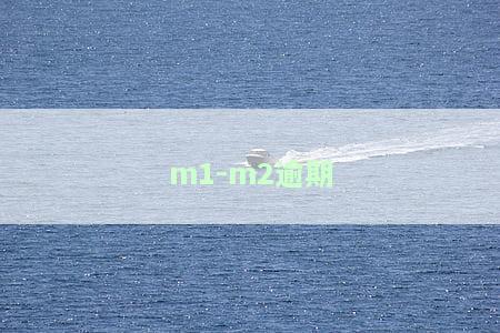 M2逾期多少天？了解你的逾期级别与影响