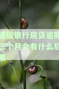 建设银行房贷逾期三个月会受到什么处罚，逾期三个月，建设银行房贷将面临何种处罚？