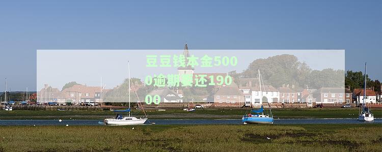 豆豆钱本金5000逾期要还19000