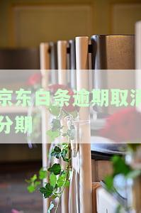 逾期取消分期影响严重：后果如何？