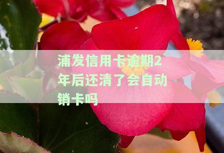 浦发信用卡逾期2年后还清了会自动销卡吗？该如何处理？