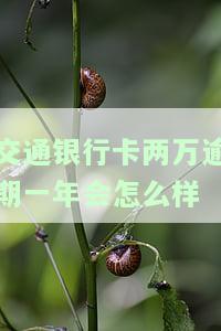 交通银行卡两万逾期一年会怎么样吗，交通银行卡逾期两万元，一年后会有何后果？