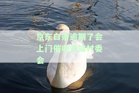 逾期了会上门催收告知村委会-逾期说会上门