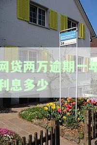 网贷2万逾期一年利息要多少，逾期一年网贷2万的利息是多少？