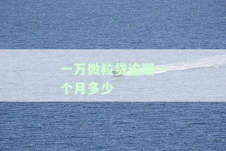 微粒贷逾期一万五多久会被起诉，微粒贷逾期一万五，多久会面临被起诉的风险？