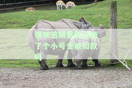 借呗逾期重新注册了个小号会被扣款吗，借呗逾期后，重新注册小号是否会遭到扣款？