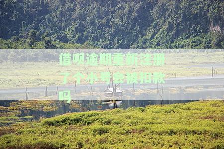 借呗逾期重新注册了个小号会被扣款吗-借呗逾期重新注册了个小号会被扣款吗安全吗