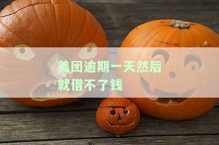 美团借款逾期一天为什么就不能借款了，美团借款逾期一天，为何无法再借？
