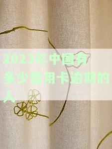 2023年中国有多少信用卡逾期的人呢，预测2023年：中国信用卡逾期人数或将有何变化？