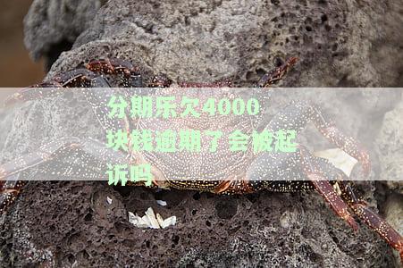 分期乐4000不还的后果：会否被起诉？