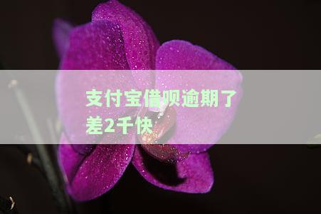 支付宝借呗逾期2天会影响征信吗，支付宝借呗逾期两天会损害你的信用记录吗？