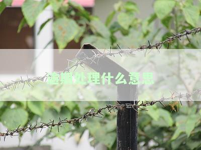 逾期处理什么意思