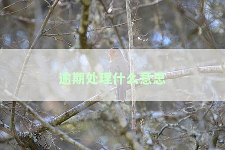 ：逾期处理流程 - 建行信用卡逾期处理流程及流程图