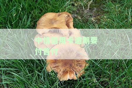中信信用卡逾期会影响首付支付吗？如何解决逾期问题？