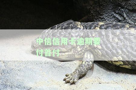 中信信用卡逾期要付首付？解决方案在此！