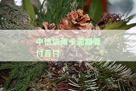 中信信用卡逾期要付首付嘛，中信信用卡逾期会影响首付支付吗？