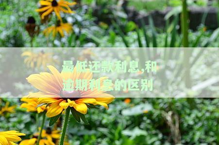 最低还款与逾期利息是否相同？如何计算及处理？
