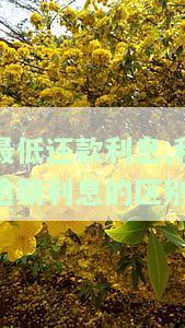 逾期和最低还款额一个意思吗，逾期与最低还款额是否等同？