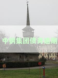 深入解析中钢集团负债经营现状：挑战与机遇并存