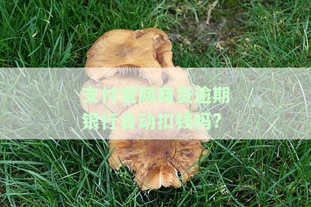 支付宝网商贷逾期银行自动扣钱吗是真的吗，真相揭示：支付宝网商贷逾期后，银行是否会自动扣款？