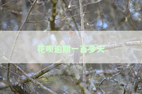 花呗逾期100多天后会联系家里人？法律传票是否会到来？