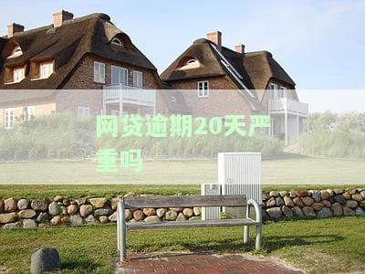 网贷逾期20天严重吗会怎样，网贷逾期20天：问题严重，可能带来的后果是什么？