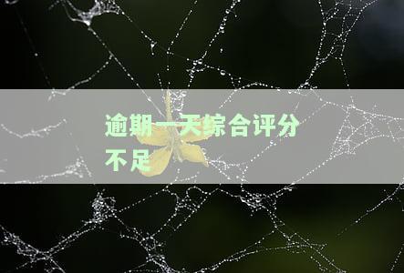 逾期一天综合评分不足，如何解决？