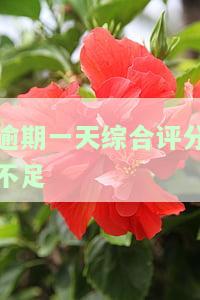 逾期一天综合评分不足：如何恢复正常及影响征信？
