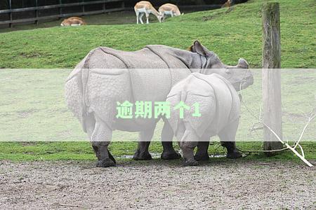 逾期两个月，征信报告为何未显示？