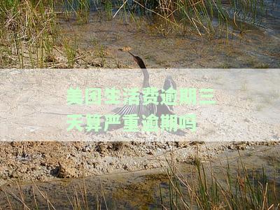 美团生活费逾期三天是否算严重逾期？知乎上有相关讨论吗？