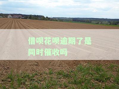 花呗借呗逾期会打电话给通讯录好友吗？影响家人朋友吗？