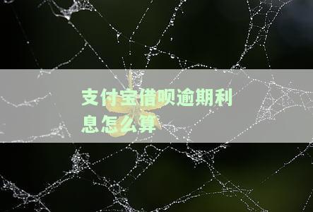 支付宝借呗逾期利息计算方法及步骤