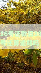16号还款日19号还算逾期吗？为什么？
