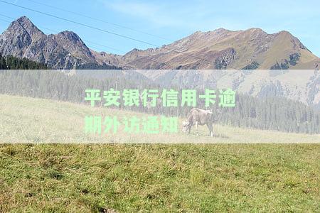 平安银行信用卡逾期外访通知-平安银行信用卡逾期外访通知短信