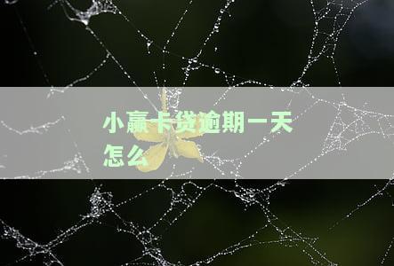 小赢卡贷逾期一天怎么就要全额还款，小赢卡贷：逾期一天是否需要全额还款？